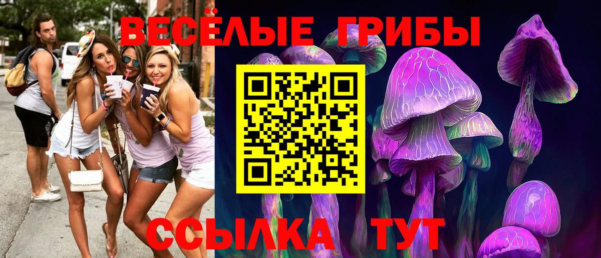 Псилоцибиновые грибы GOLDEN TEACHER Кашира